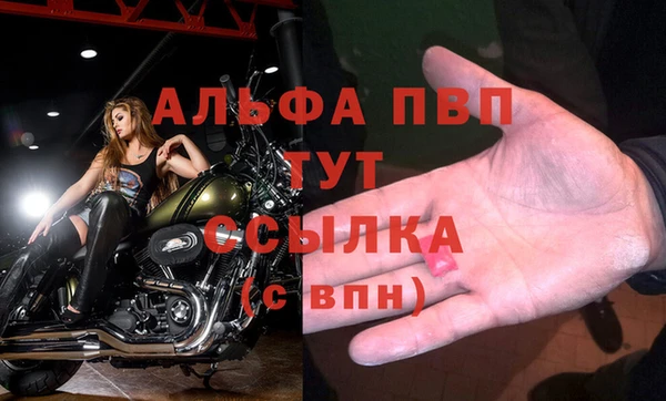 индика Бугульма